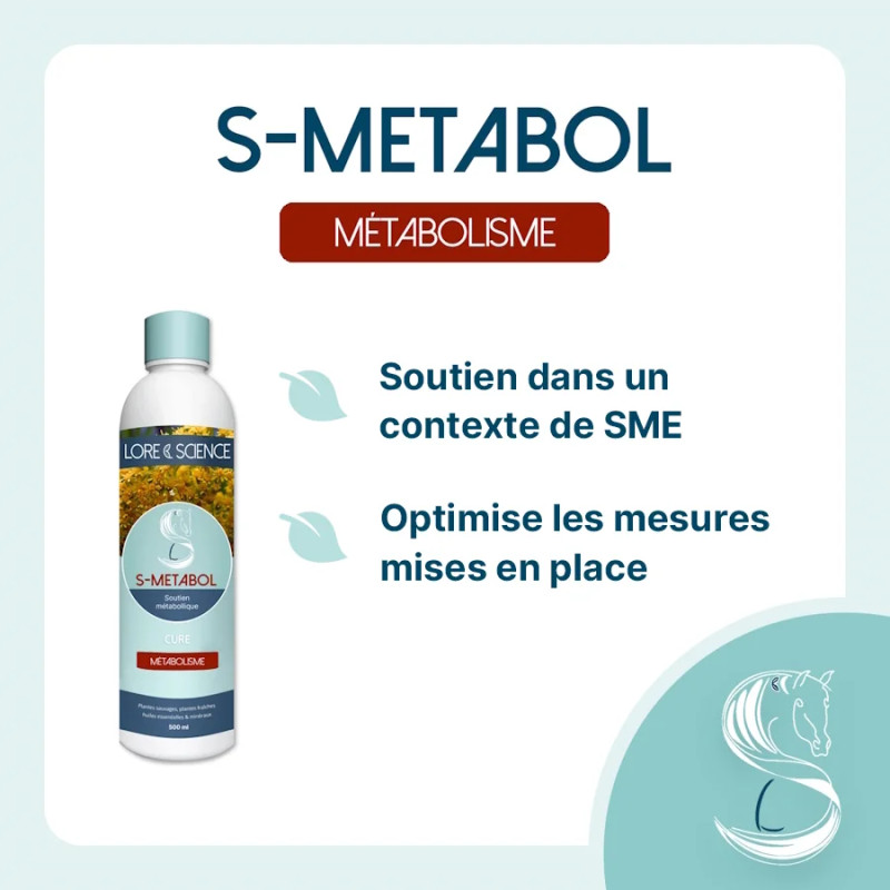 S-Metabol - Helps support the horse's metabolism - Lore & Science